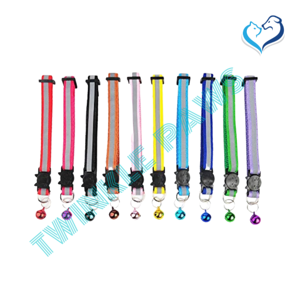 Cocody Radium Pet Collar Small (Colour Varies)