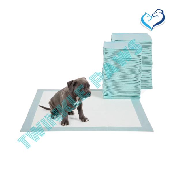 Frisco Dog Training & Potty Pads 22x23In