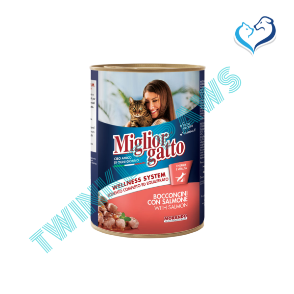 Miglior Gatto Chunks with Salmon 405g Tins