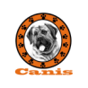 Canis